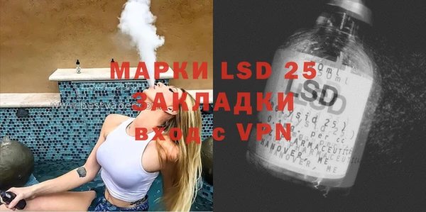 ПСИЛОЦИБИНОВЫЕ ГРИБЫ Алзамай