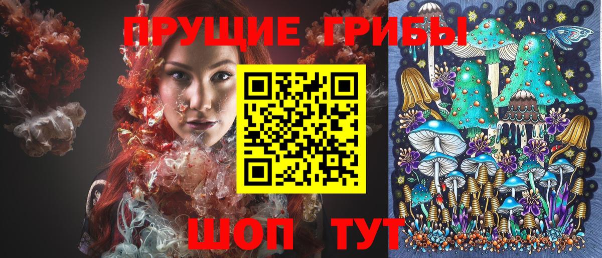 Галлюциногенные грибы Cubensis  наркотики  Ирбит  Вход с VPN 